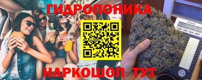 mdpv Можга