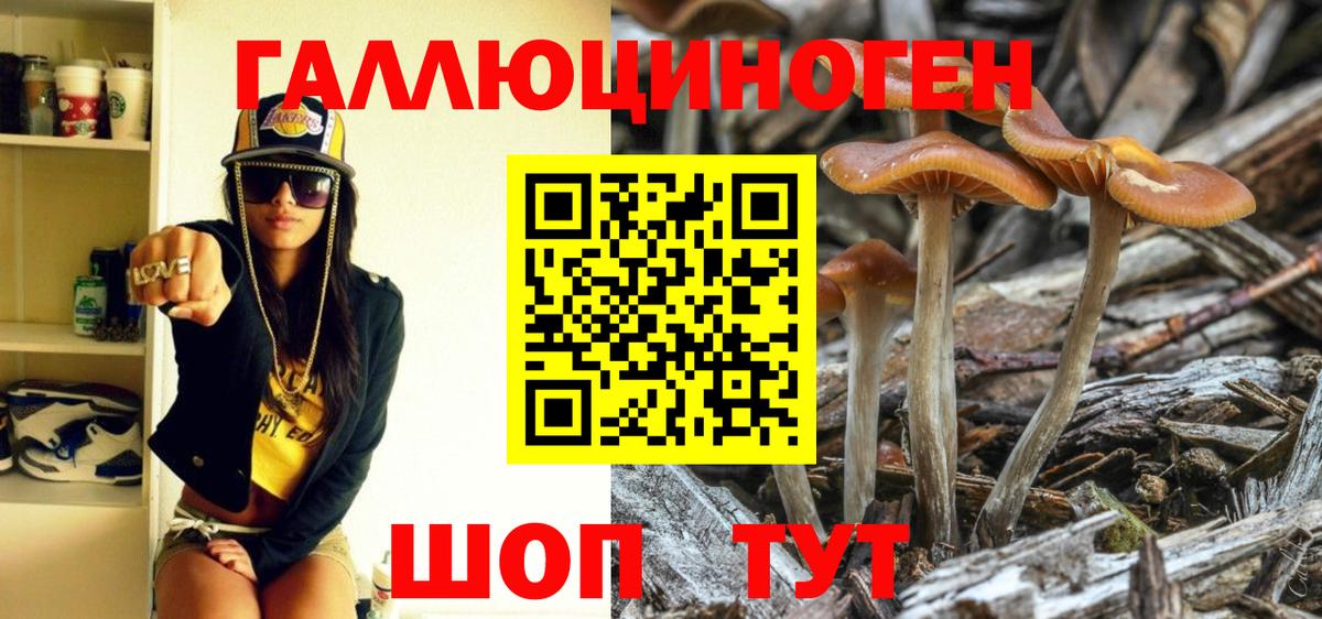 Псилоцибиновые грибы MAGIC MUSHROOMS  Галлюциногенные грибы прущие грибы  Хабаровск  Вход с VPN 